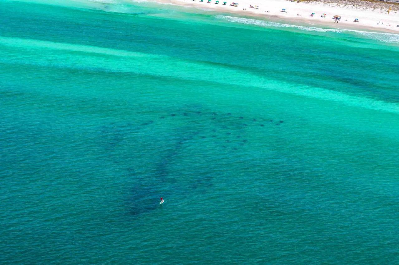 Ariel Dunes I 1605 Appartement Destin Buitenkant foto